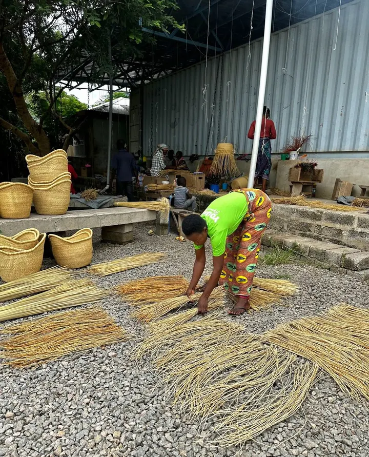 A basket maker spreading natural straw to dry