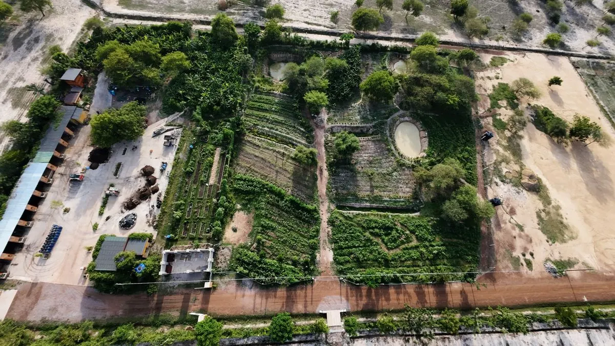 Aerial view of planted Baba Tree land and growing areas